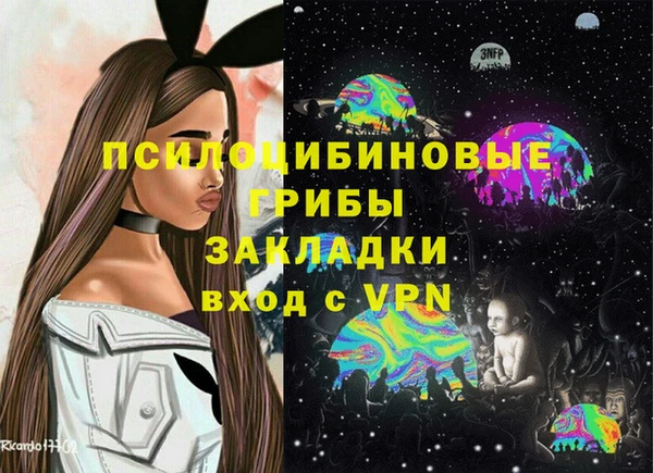 ешки Нягань