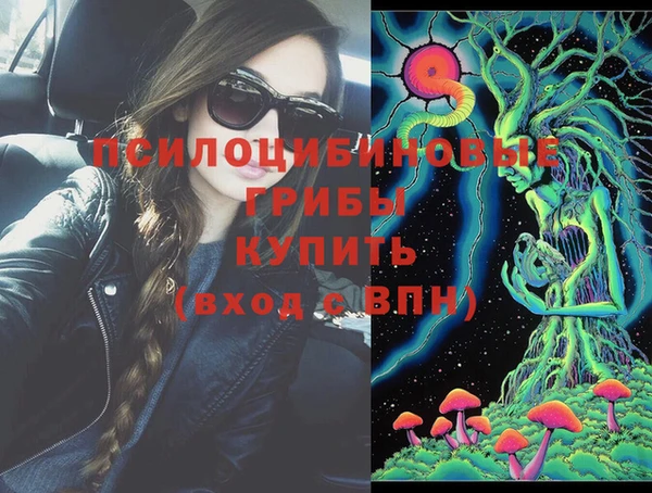 прущие крисы Няндома