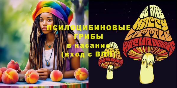 ешки Нягань