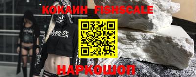 дмт Кингисепп