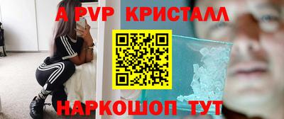 дмт Кингисепп