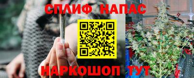 дмт Кингисепп
