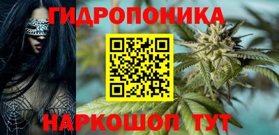 дмт Кингисепп