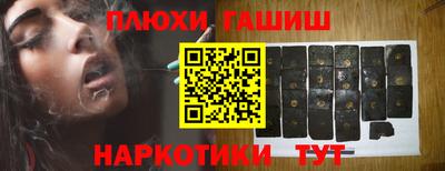 дмт Кингисепп