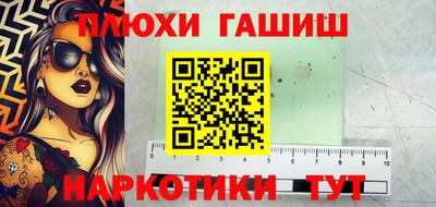 дмт Кингисепп