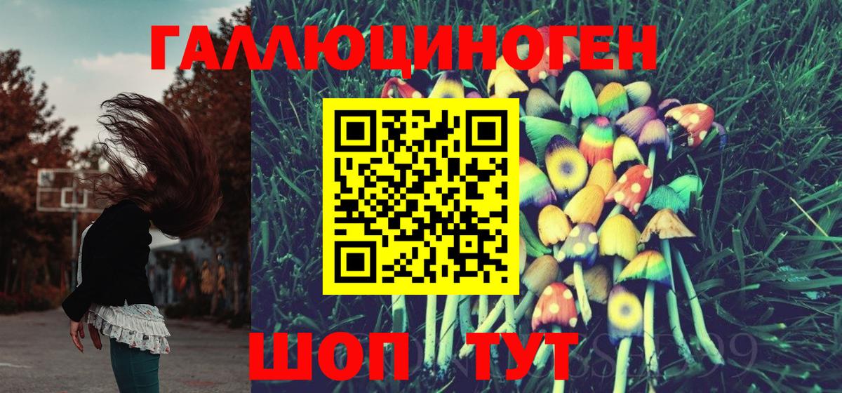 Псилоцибиновые грибы Psilocybe  Вход с VPN  Хабаровск 