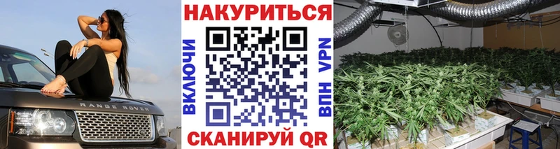 Шишки марихуана индика Хабаровск